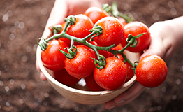 유기농업기능사